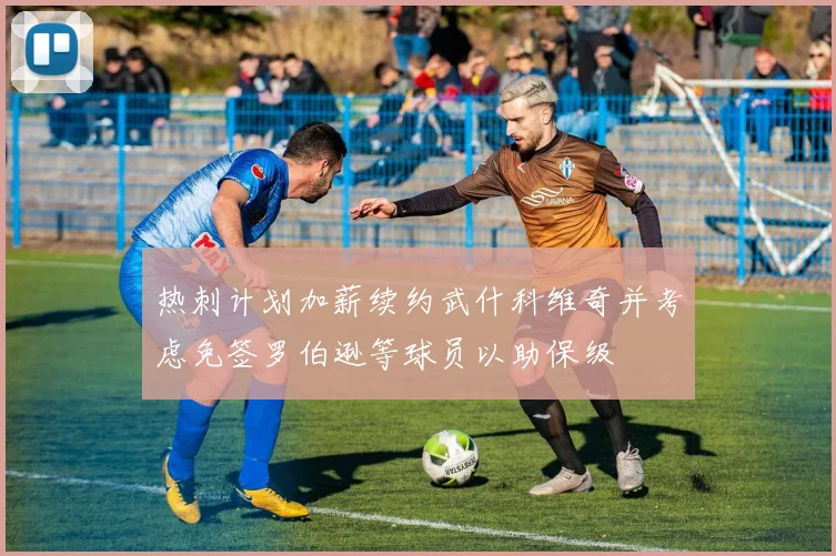 热刺计划加薪续约武什科维奇并考虑免签罗伯逊等球员以助保级